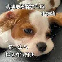 啧 真下头表情包