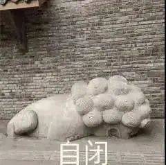 频繁关注群内消息表情包