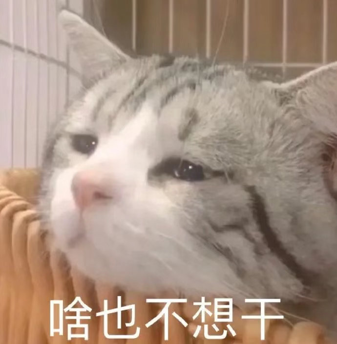 我就是菜，怎样？表情包