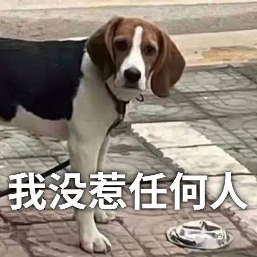 我没惹任何人表情包