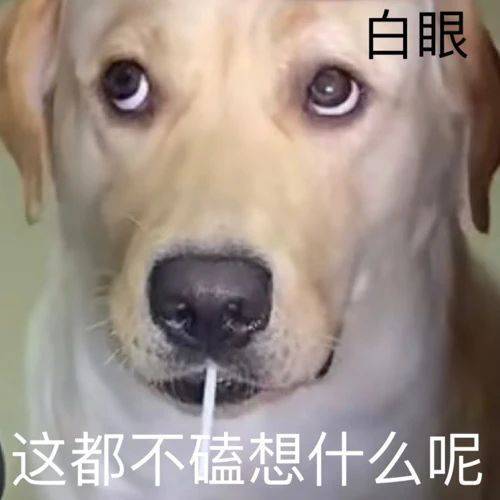 这都不磕 想什么呢