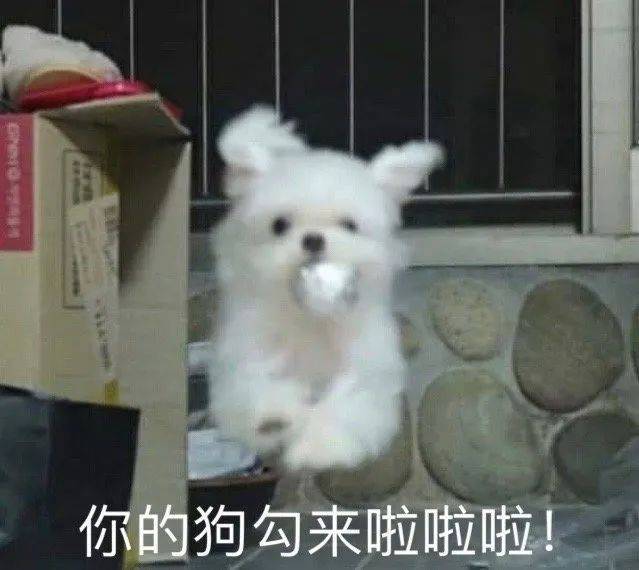 外边的世界快乐吗