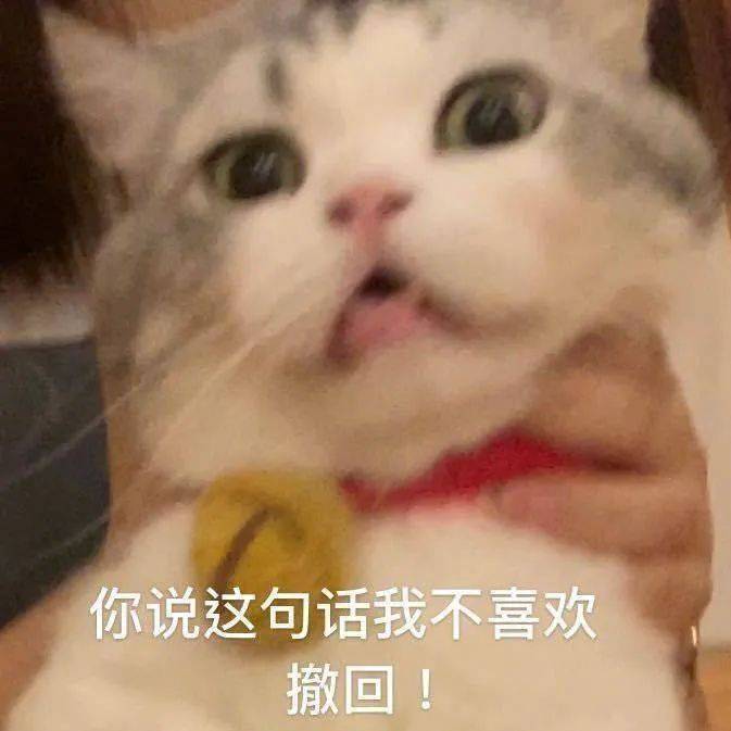 靠近看看笨蛋