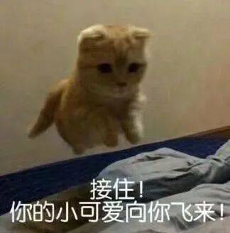 我看你还能说出什么花来表情包