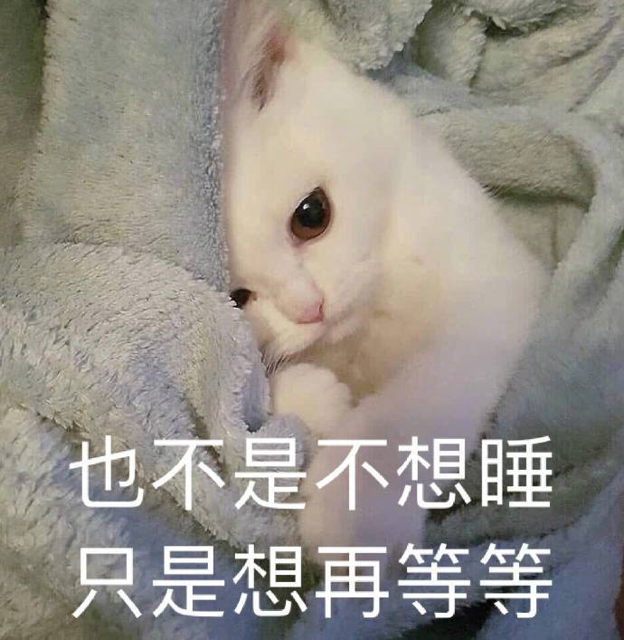 你听听  这说的是人话吗表情包