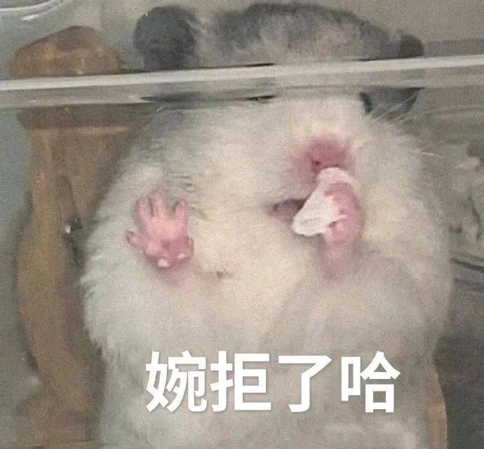 婉拒了哈