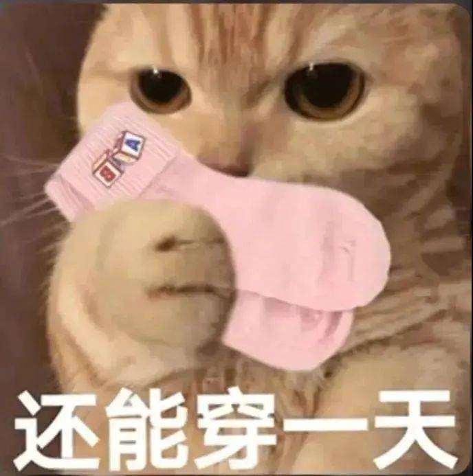 还能穿一天表情包