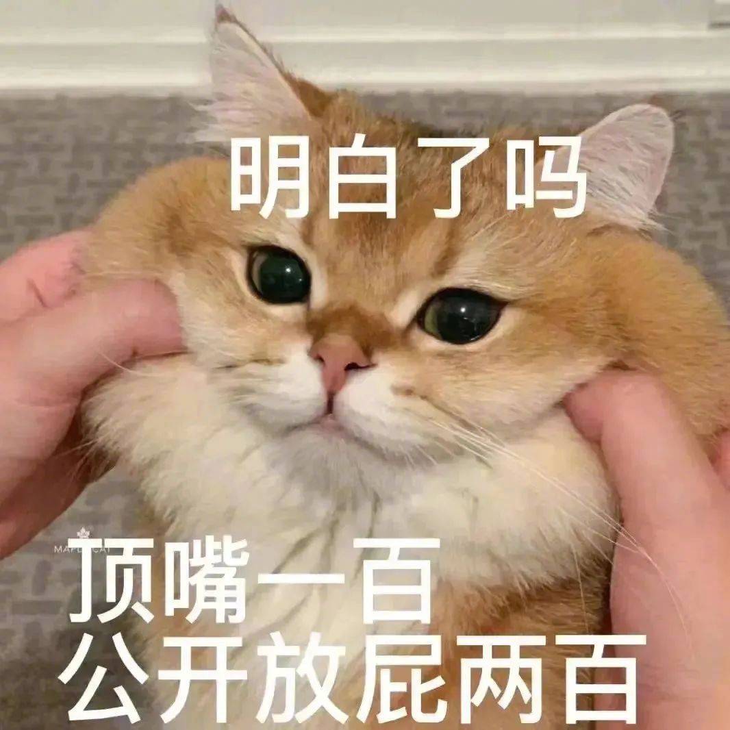 我是你的小可爱吗