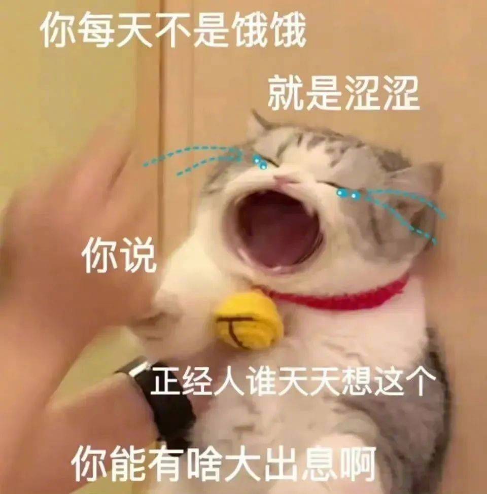 去给你买点脑子