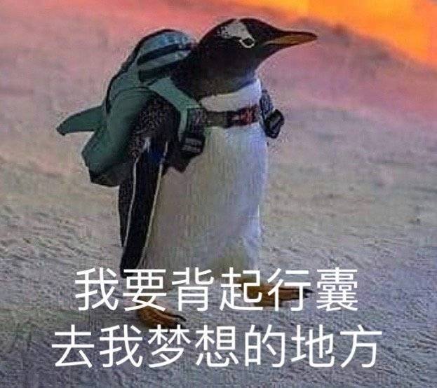 算了 我不想骂人表情包