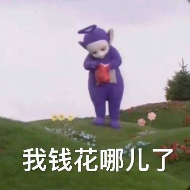 我钱花哪儿了表情包