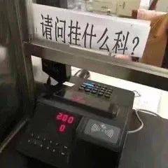 请问挂什么科