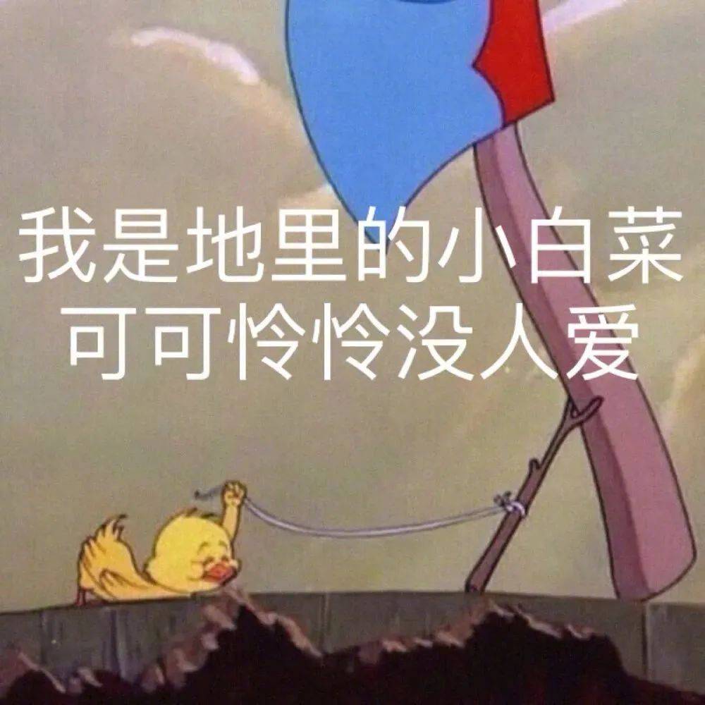 怎么了  你不放心我？