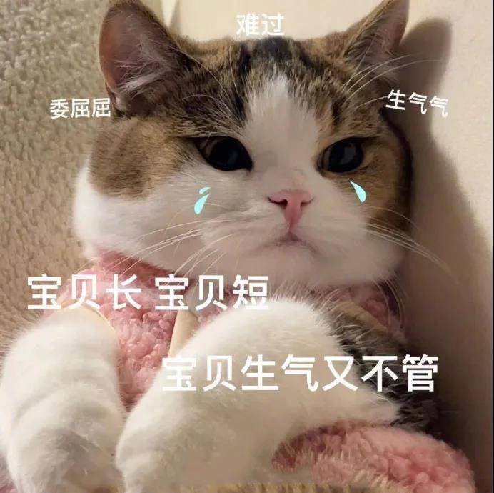 小猪小猪软乎乎  遇到困难呼噜噜表情包