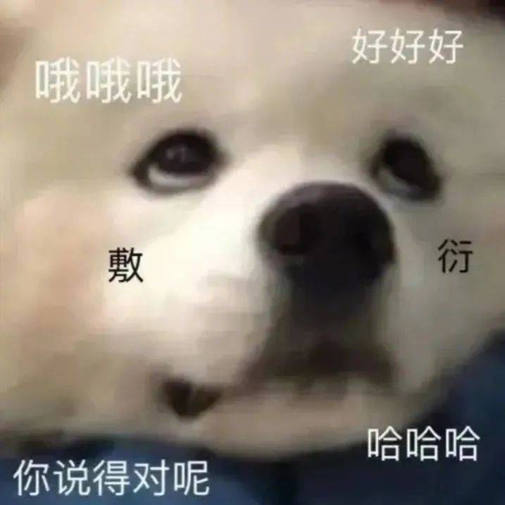 啊 你在说什么猪猪话表情包