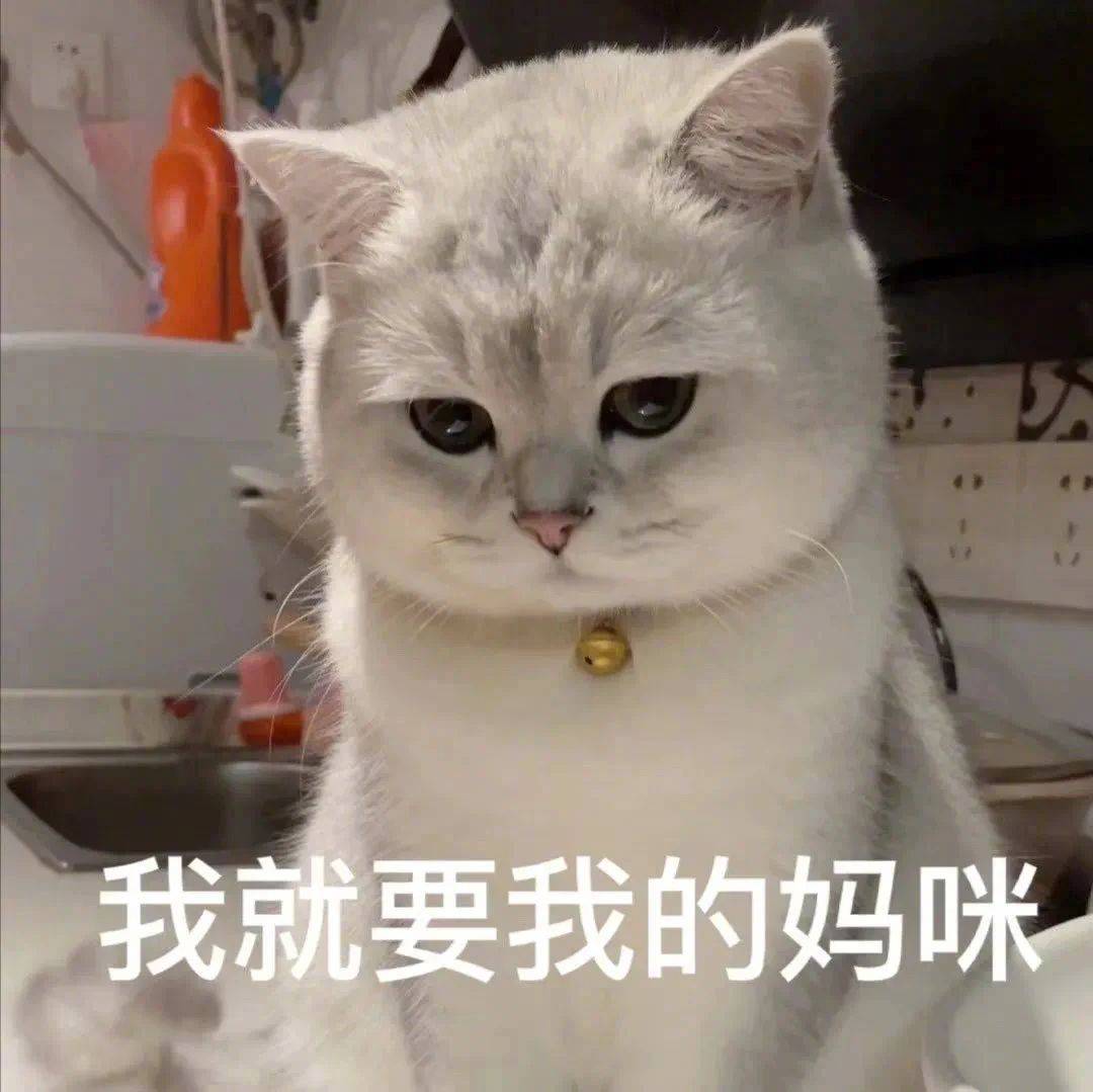 我就要我的妈咪