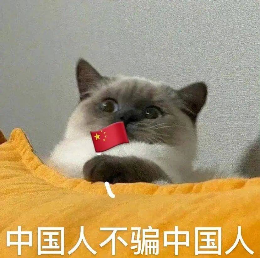 不要啊！球球你！表情包