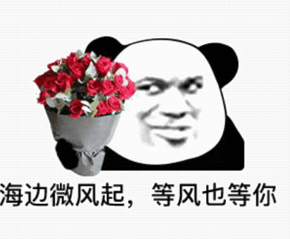 海边微风起 ，等风也等你