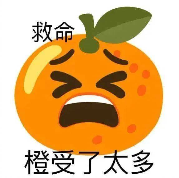 救命  橙受了太多表情包