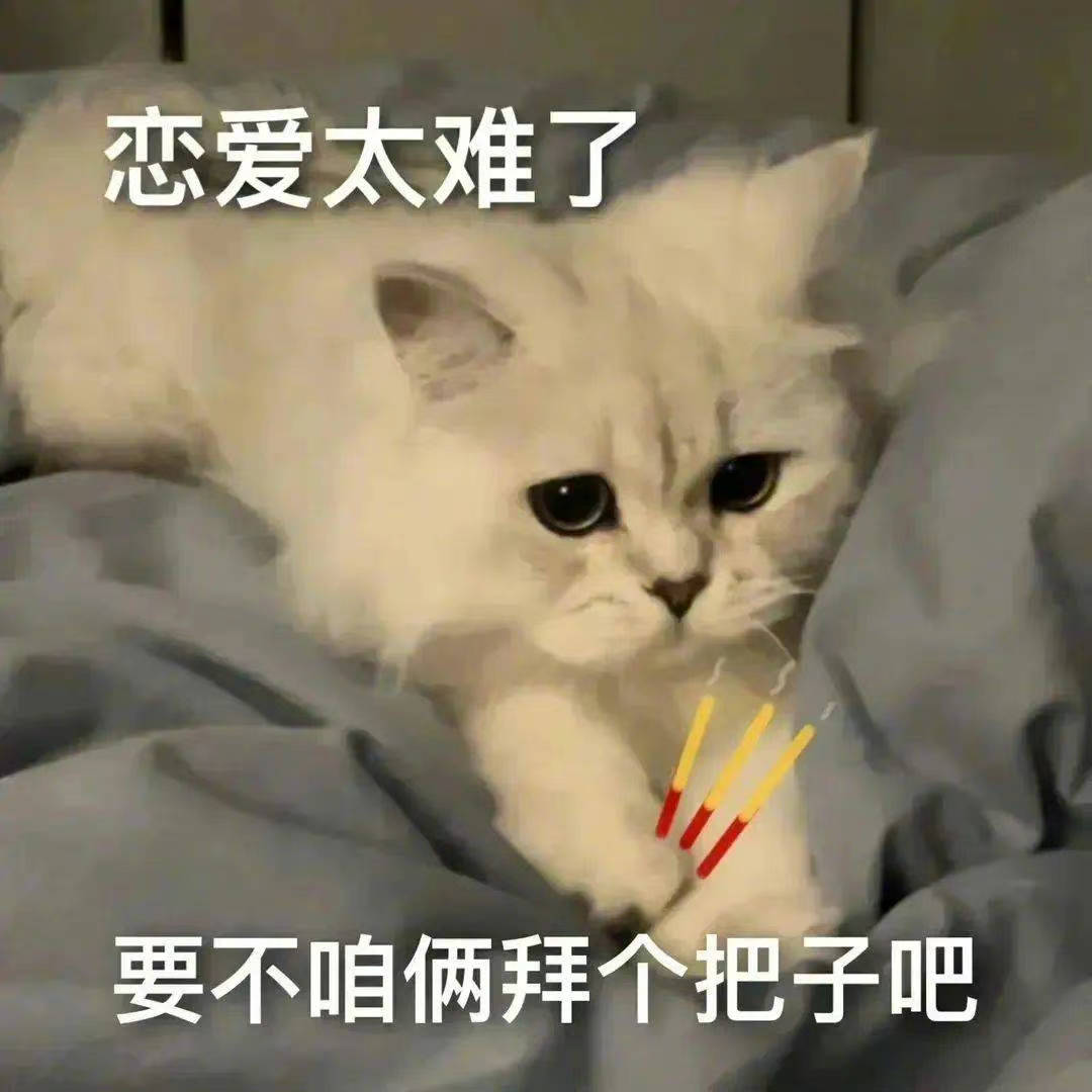 在吗？出来饮酒表情包