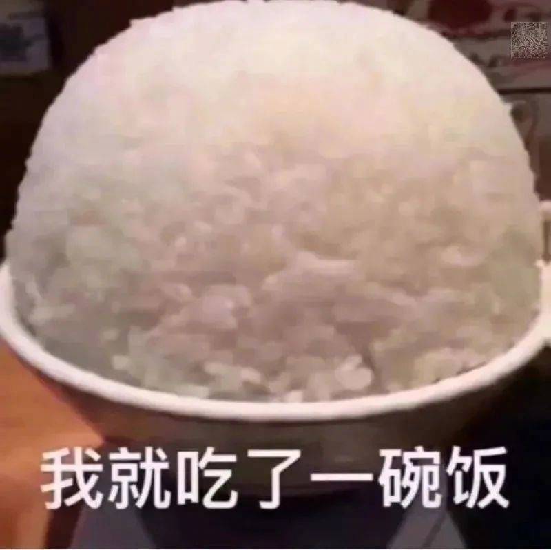 我就吃了一碗饭