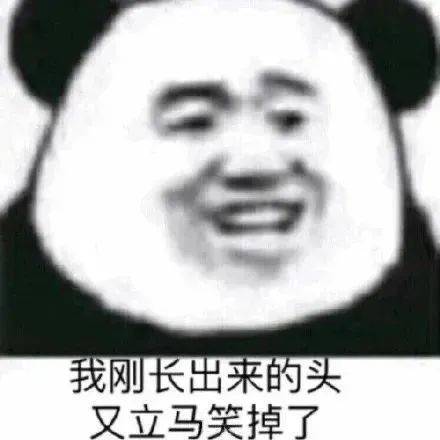 我只是一只小猫咪