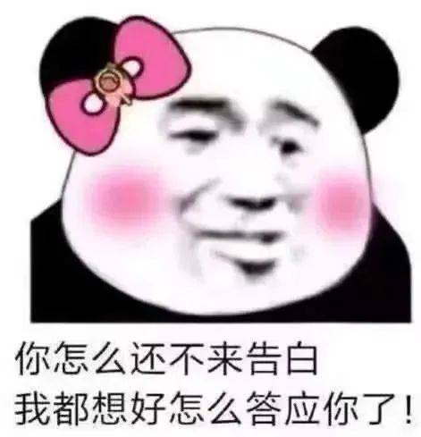向知识的苦海前进表情包