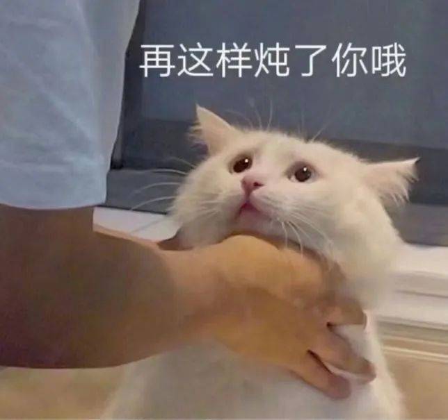 咬死你这个臭猪猪表情包