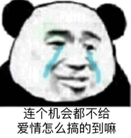 连个机会都不给  爱情怎么搞的到嘛表情包