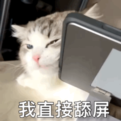 我直接舔屏表情包