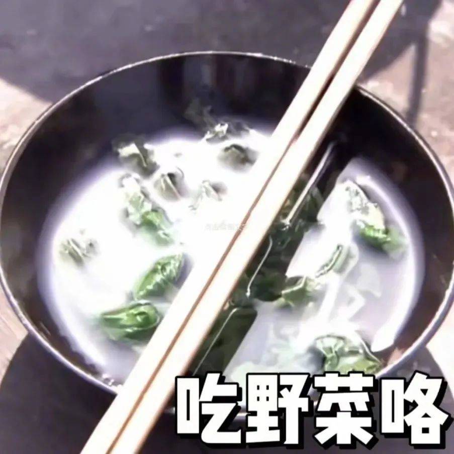 吃野菜咯表情包