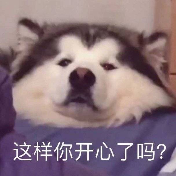 这样你开心了吗？表情包