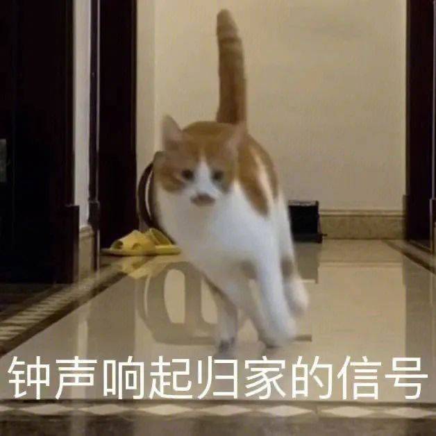 别管 猪瘾犯了表情包