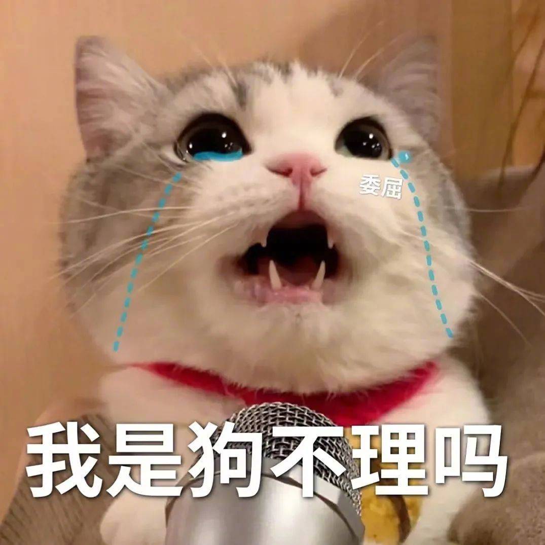 还能穿一天表情包