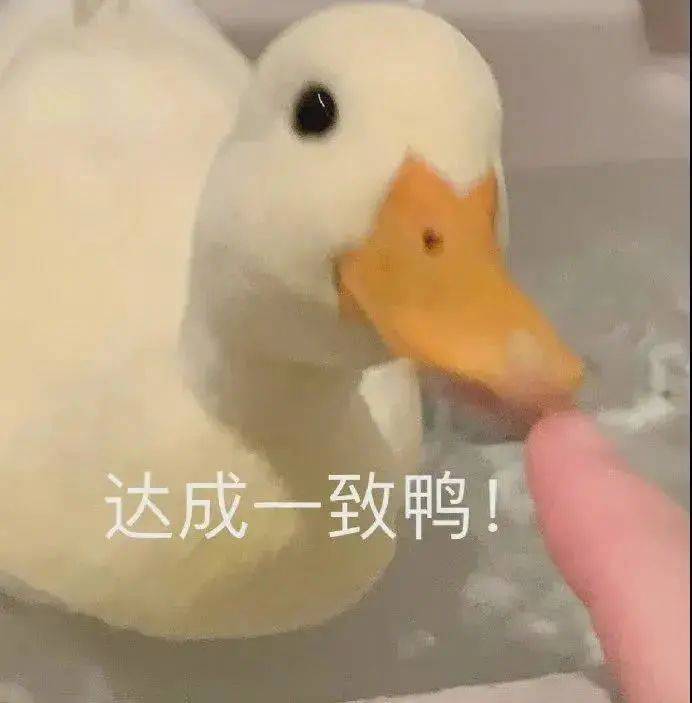 正在努力抢修中……