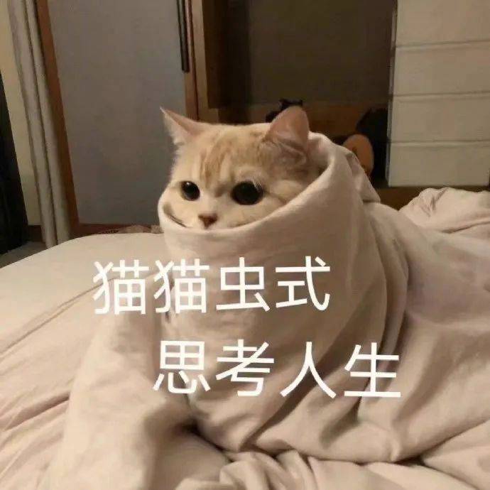 猫猫虫式 思考人生表情包