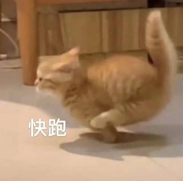 我打我自己