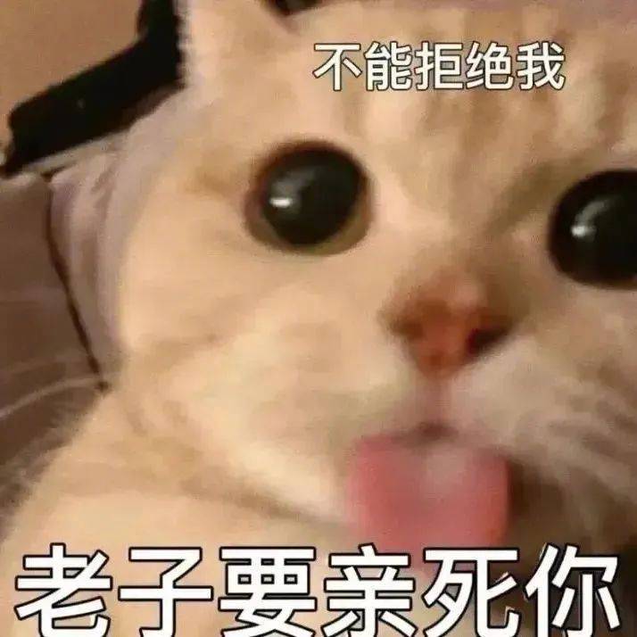 老子要亲死你表情包