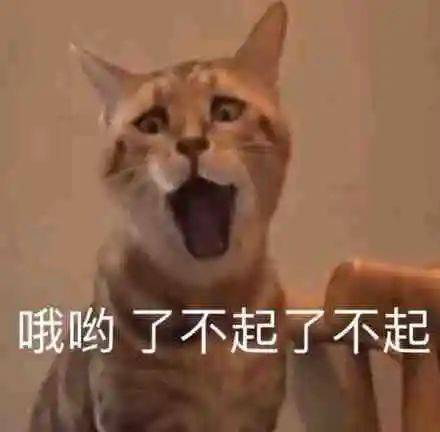 哦哟 了不起 了不起表情包