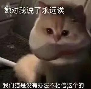 我胖熊猫看不起你表情包