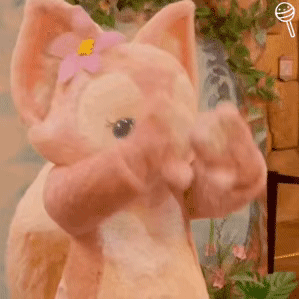 减肥了！减肥了！