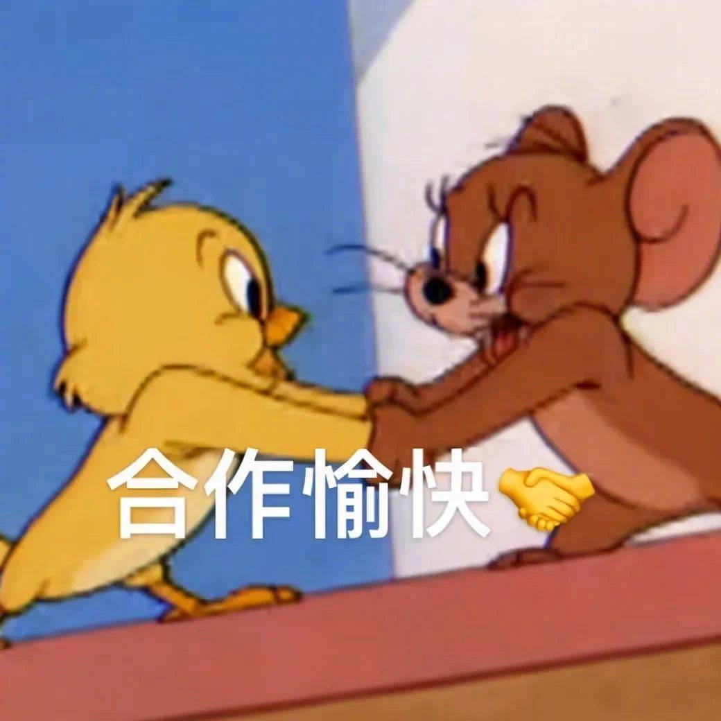 你懂个锤子