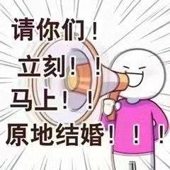 求求了 好人一生八胎表情包