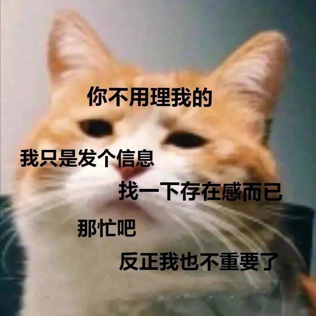 我是你的小可爱吗