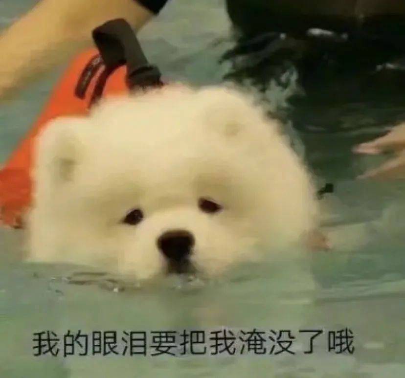 我的眼泪要把我淹没了哦