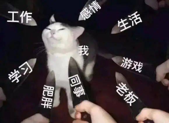 真是错把酱油当酒喝 给你闲的表情包
