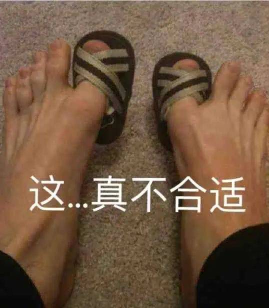 请不要挑衅我表情包