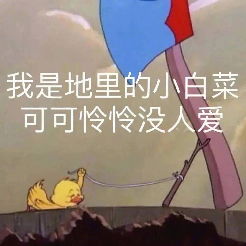 真的！骗你是小狗哦表情包