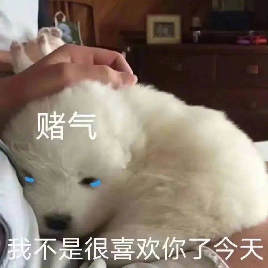 我才不在乎呢