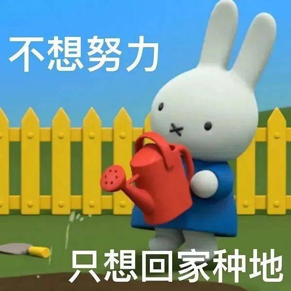 吓我一跳！不拍了表情包